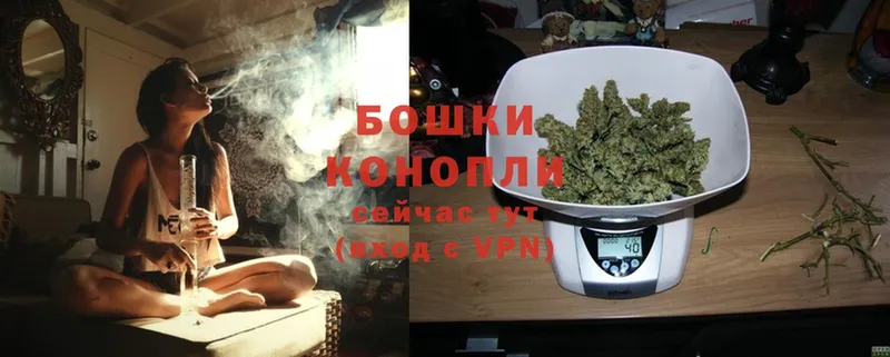 цена наркотик  Александровск  Шишки марихуана OG Kush 